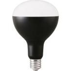 アイリスオーヤマ LED電球 投光器用 5500lm E39 [ワークライト ライト 作業灯 照明 LED 昼白色 広配光 防雨 夜間 作業 防水 屋内 屋外 交換] LDR44D-H-E39-E