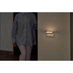  Iris o-yama на батарейках LED сенсор свет panel wall модель [ освещение стена установка type электропроводка не необходимо .. вход . внизу закрытый ] BSL-BMSP. покупка 