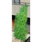 第一ビニール 緑のカーテン 吊り下げタイプ 幅1.8m×高さ5m W1800 爆買