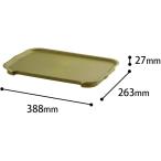 サンカ katasu(カタス) フタ ML(幅388×奥行263×高さ27mm) [収納 ケース ボックス おしゃれ インテリア] グリーン 爆買
