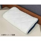 大宗 D's collection モッチリ質感 冷感枕パット 裏パイル 45×55cm [寝具 枕カバー ピローカバー ひんやり 涼感] Gj 爆買