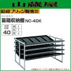 苗箱収納棚 斜め収納式 昭和ブリッジ 40枚 NC-40K (2列×5段×4枚) 全長1610×全幅900×全高892mm [法人様送料無料]