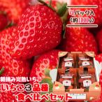 いちご 完熟 宮城 山元いちご農園 ３品種食べ比べセット 250g×4パック もういっこ にこにこベリー とちおとめ