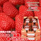  клубника Miyagi 4 товар вид еда . сравнение комплект 250g×8 упаковка .. гора изначальный клубника сельское хозяйство . уже ....... Berry ................