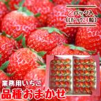  клубника Miyagi для бизнеса 24 шарик ×2 упаковка товар вид случайный .. гора изначальный клубника сельское хозяйство .