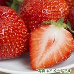  клубника ......500g ввод 2 упаковка Fukuoka префектура производство 
