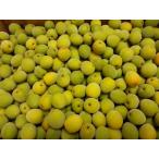  Kyushu. слива S размер 1kg