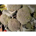  Kyushu производство новый было использовано брокколи 