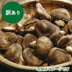 訳あり九州産　原木生椎茸　１kg