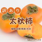 訳あり太秋柿3ｋｇ