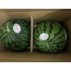 熊本県産スイカMサイズ 2玉入り