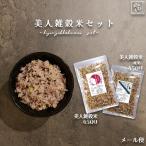 美人雑穀米セット900g(美人雑穀米450g 美人雑穀米-痩美-450g)米 ポイント消化 ぽっきり お試し 国産 送料無料 メール便