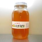 はちみつ・5〜6月・1100g(千葉県富津市山中産)