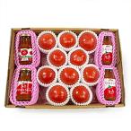  Akira . ферма комплект Akira . Kyushu магазин ферма 