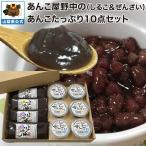 野中のあんこたっぷり10点セット（�