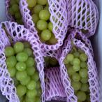  Yamanashi префектура производство автомобиль in мускат 2kg 1 коробка 6.8. не комплект ваш заказ виноград .. синий . фрукты прямая поставка от производителя . пищевые ингредиенты высота сахар раз .. нестандартный ..... болото .. город фруктовое дерево плоды 