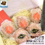 幻のブランド牛「甲州牛」を使用した特製ハンバーグ　甲州ブランド肉 贅沢食べ比べ ハンバーグ セット 甲州牛 2個 豚合挽 3個 計5個 小麦と甲州牛研究所 PANTOBURG ブランド牛 銘柄肉 甲斐甘み豚 ブランド豚