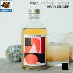 VIVID GINGER[bi bit Gin ja-]SOIL