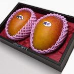 極撰完熟マンゴー 糖度15度以上 2L(約350g~449g)  2個 トロピカルファーム南アルプス お取り寄せ 贈答品