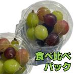  время ограничено ограниченное количество Yamanashi. .. виноград еда . сравнение 5 вид 120g 5 упаковка комплект автомобиль in мускат Fuji. блеск вид нет кожа ... 100 .