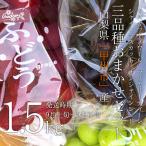 ご予約商品山梨の美味しいぶどう3品...