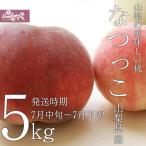 ご予約商品山梨の美味しい桃 なつっこ5kg 13-18個入り (農家産直)(ギフト)(御中元)(桃)(山梨県)(フルーツ)