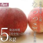  reservation commodity Yamanashi. beautiful taste .. peach ....5kg 13-18 piece entering ( agriculture house production direct )( gift )(. middle origin )( peach )( Yamanashi prefecture )( fruit )