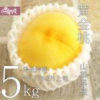 ご予約商品山梨の美味しい桃　黄金桃5kg 15-20個入り　(農家産直)(ギフト)(御中元)(桃)(山梨県)(フルーツ)