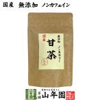 健康茶 国産100% 甘茶 30g 無添加 福岡