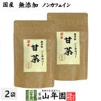 健康茶 国産100% 甘茶 30g×2袋セット 無添加 福岡県産 花祭り 送料無料
