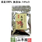 ショッピングあずき茶 健康茶 国産100% あずき茶 ティーパック 無添加 5g×12パック ノンカフェイン 北海道産 送料無料