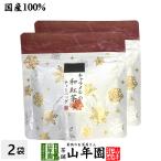 お茶 日本茶 紅茶 国産100% キャラメルの和紅茶 ティーパック 2g×5包×2袋セット ティーバッグ 送料無料