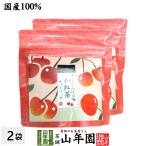 国産紅茶 さくらんぼの和紅茶 2g×5パック×2袋セット
