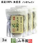 健康茶 国産100% どくだみ茶 ティー�