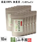 健康茶 国産100% エキナセア茶 2g×10パック×10袋セット ノンカフェイン 鳥取県または熊本県産 無農薬 送料無料