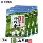 Yahoo! Yahoo!ショッピング(ヤフー ショッピング)お茶 日本茶 粉茶 掛川緑茶 50g×3袋セット 送料無料