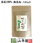 健康茶 国産100% 無農薬 ゴーヤ茶 ゴ