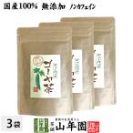 健康茶 国産100% 無農薬 ゴーヤ茶 ゴ