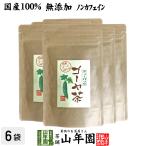 健康茶 国産100% 無農薬 ゴーヤ茶 ゴ