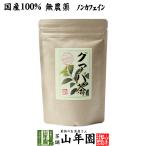 健康茶 国産100% グァバ茶 3g×16パッ