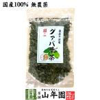 健康茶 国産100% グァバ茶 70g ノンカ