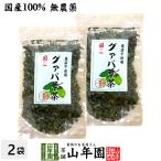 健康茶 国産100% グァバ茶 70g×2袋セ