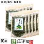 健康茶 国産100% グァバ茶 70g×10袋セ