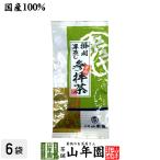 お茶 日本茶 煎茶 巣鴨参拝茶100g×6袋セット 送料無料