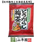 健康茶 とうがらし梅茶 2g×24本 カプサイシン 唐辛子 こんぶ茶 昆布茶 うめ茶 送料無料