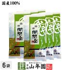 お茶 日本茶 煎茶 開聞岳茶 100g×6袋セット 送料無料