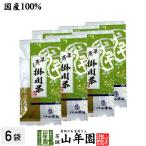 お茶 日本茶 煎茶 掛川深蒸し茶100g×