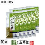 お茶 日本茶 煎茶 掛川深蒸し茶100g×10袋セット 掛川茶 送料無料