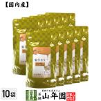 健康食品 菊芋EX（サプリメント・錠剤）62g(200mg×310粒)×10袋セット