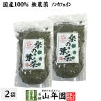 健康茶 国産100% 桑の葉茶 100g×2袋セ